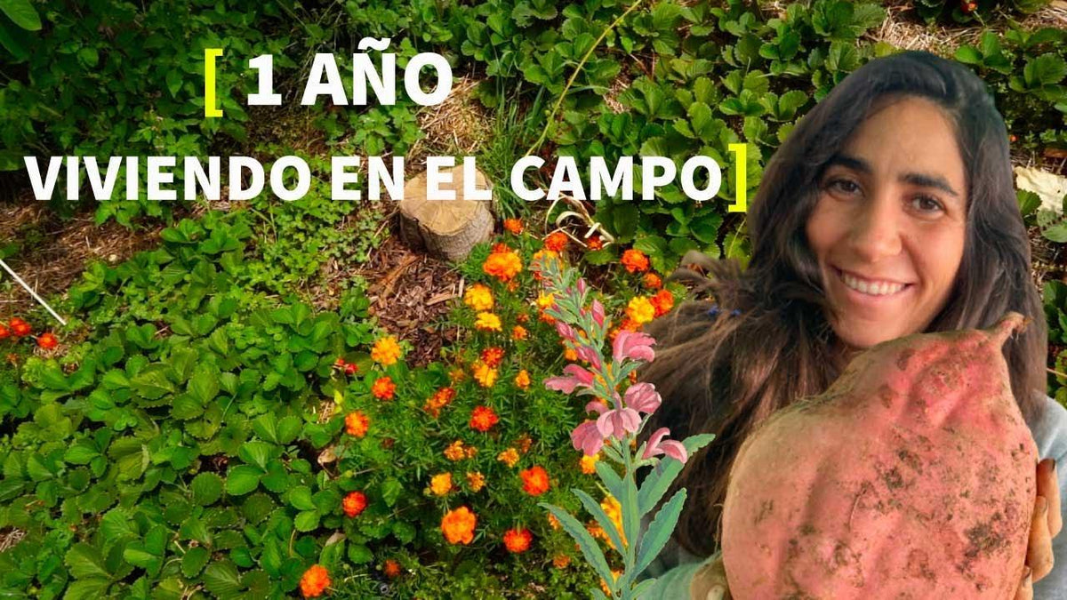 Vida Simple 🌄 en la Montaña