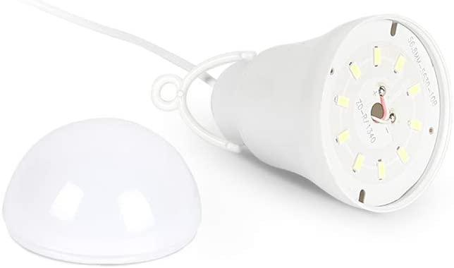 FlashFish USB Light Bulb(2 Pack) - Flashfish Solar Generator